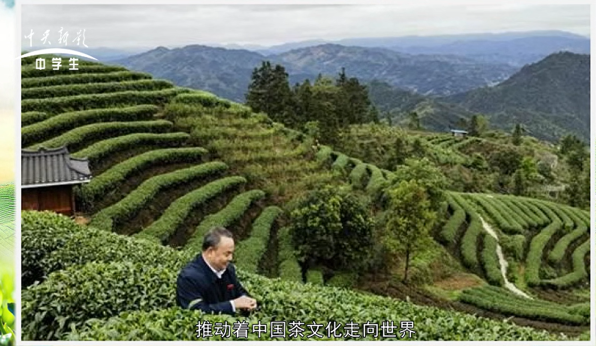 《茶和天下》——首席传承人罗大友的茶文化使命